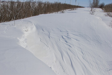 deep snow drifts in a farm windbreak
