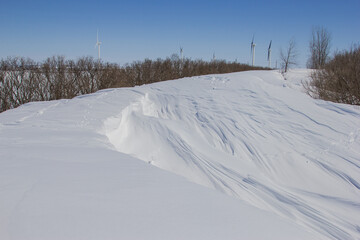 Obraz premium deep snow drifts in a farm windbreak