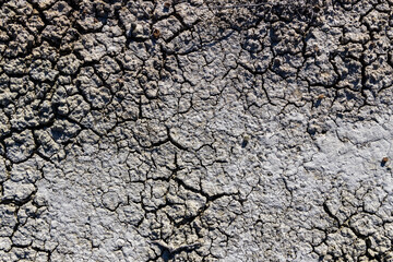 Ethereal Erosion: A Magnified View of a Cracked Concrete Landscape