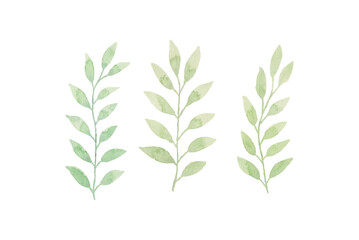Watercolor leaves illustration set - green leaf branches collection for wedding, greetings, stationary, wallpapers, fashion, background. olive, green leaves, Eucalyptus etc