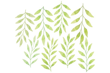 Watercolor leaves illustration set - green leaf branches collection for wedding, greetings, stationary, wallpapers, fashion, background. olive, green leaves, Eucalyptus etc