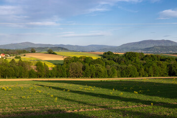 Naklejka premium Illuminated by spring afternoon sun, fields under blue skies