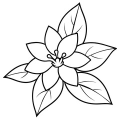 a high-resolution vector art illustration of a Magnolia flower (18)