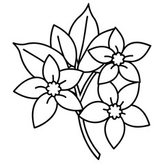 Obraz premium a high-resolution vector art illustration of a Magnolia flower (22)
