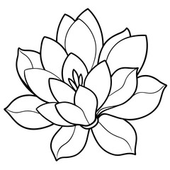a high-resolution vector art illustration of a Magnolia flower (33)