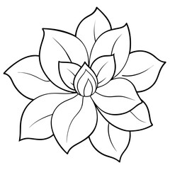 a high-resolution vector art illustration of a Magnolia flower (37)