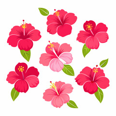 minimal Hibiscus flower set vector art illustration  (17)