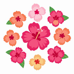 minimal Hibiscus flower set vector art illustration  (20)