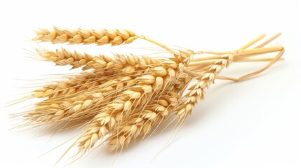 Golden ripe wheat sheaves decorative background
