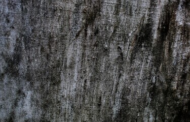 Empty white concrete texture background, abstract backgrounds, background design. Grunge interior background, grunge dirty metal background or texture.