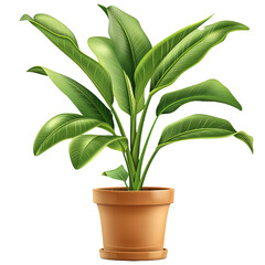 Icon illustration of tropical plant in a pot isolated on white or transparent background