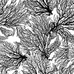 Graphic monochrome corals . Seamless background. hand drawing. Not AI, Vector illustration
