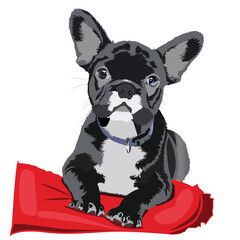 bulldog cute puppy black and white clipart vector illustration for dog lovers