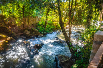 Obraz premium River in the middle of the tropical forest, river in Avandaro in Bravo Valley, State of Mexico