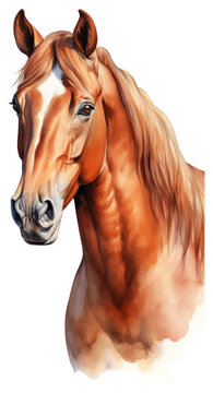 PNG Horse drawing animal mammal.