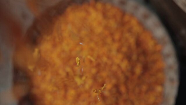 genda phool petals in slow mo 