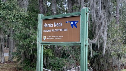 Harris Neck National Wildlife Refuge, Georgia