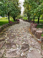 Idyllic Stone Pathway with Fallen Leaves in a Natural Setting