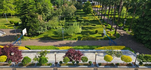 Idyllic Stone Pathway with Fallen Leaves in a Natural Setting