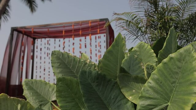 indian wedding decor