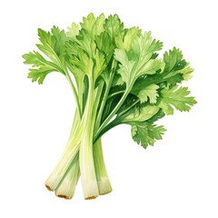 Celery