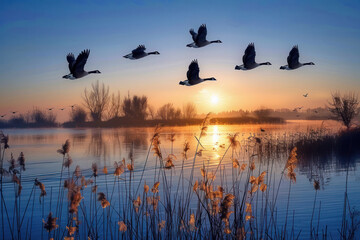 A flock of birds, specifically geese, flying gracefully over a serene lake during sunset