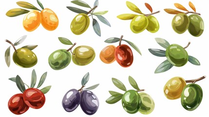 Vibrant Collection of Illustrated olives in Various Ripening Stages