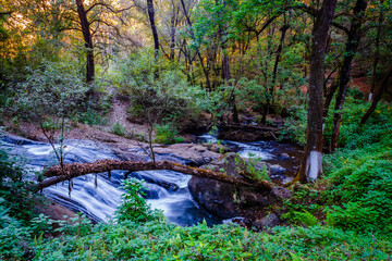 River in avandaro forest in the Bridal Veil waterfall park in Valle de Bravo state of Mexico