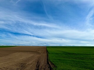 Fototapeta premium Field green vs. Brown