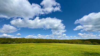 Obraz premium green field and blue sky eifel