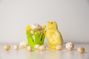 Spring greetings banner with chickens and flowers, easter celebration