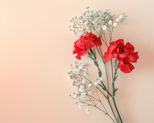 Red carnation and white babys breath flowers arranged on a pink background