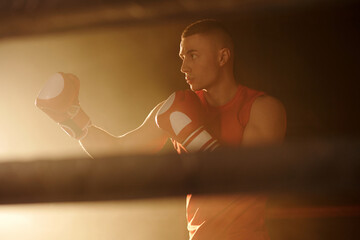 Young muscular boxer in sportswear and boxing gloves standing on ring in front of camera and...