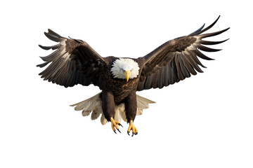 Bald Eagle in Flight on Transparent Background