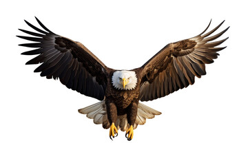 Bald Eagle in Flight on Transparent Background