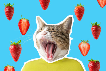 Cat and strawberry collage, pop art concept design. Minimal vibrant summer background.