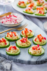 Cucumber appetizers with tuna and salmon spread with radish, fingerfood, healthy bits