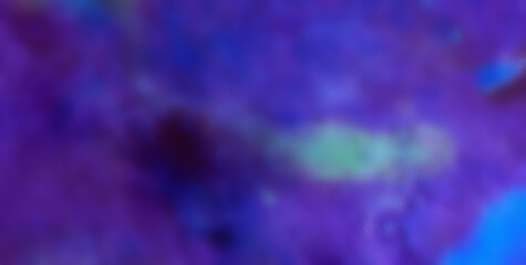 Marbled Marvels: A Visual Delight of Texture and Color in Liquid Art
