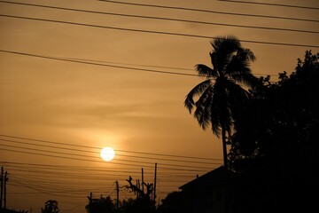Silhouette of low setting full round sun framed with electricity and telephone cable wires and palm trees, Accra, Ghana