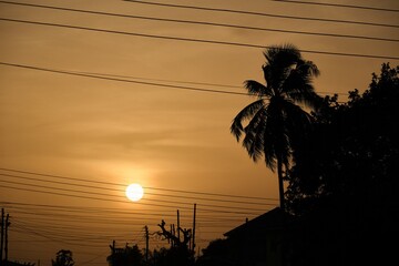 Silhouette of low setting full round sun framed with electricity and telephone cable wires and palm...