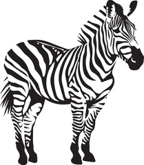 Obraz premium zebra animal vector illustration