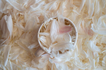 Bouquet of stylish peonies close-up. Pink and white peony flowers. Close-up of flower petals with...