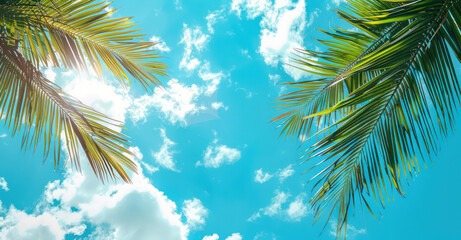 Fototapeta na wymiar Palm trees stand tall in silhouette against a blue sky with fluffy white clouds
