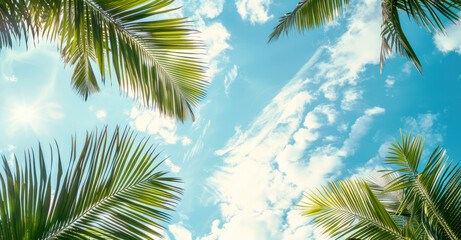 Sun shining brightly through green palm tree leaves against a blue sky, creating a beautiful natural pattern