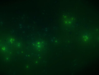 Imaginatory fractal abstract background Image