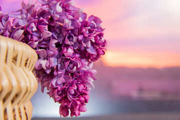 Branch of bright lilac in a basket at sunset