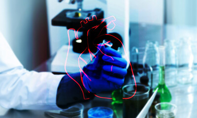 Lab person and drawn heart A, Laboratory person checking a sample with outline of biological heart...