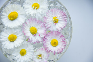 Small daisy flowers in a glass bowl. Beautiful meadow flowers bouquet, glass cup on table in garden, abstract natural background. summer season.