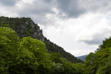 Hauntingly beautiful view of Slovakian mountains and forest.