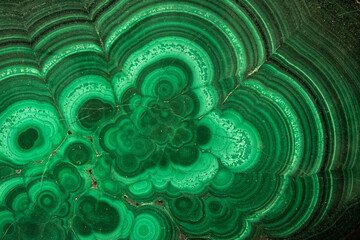 Abstract green background with circles and waves. Malachite stone wallpaper. Polished gemstone...